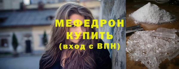 шишки Надым