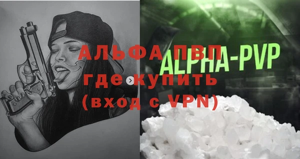 шишки Надым