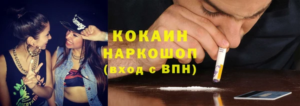 шишки Надым