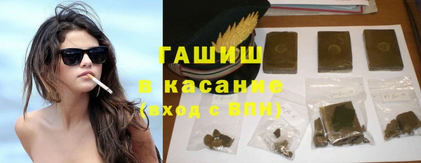 шишки Надым