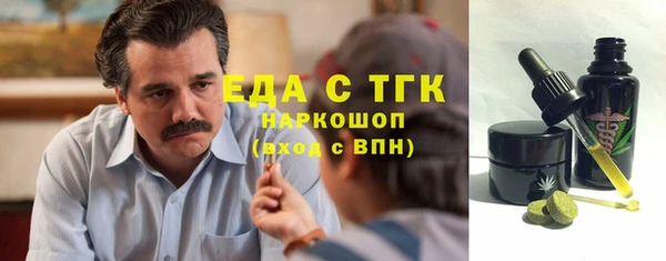 шишки Надым