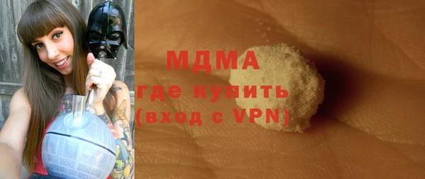 шишки Надым