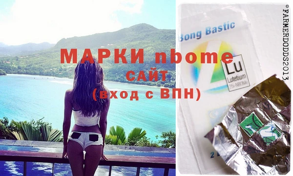 шишки Надым