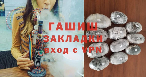 шишки Надым
