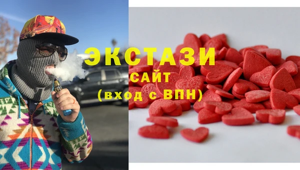 шишки Надым