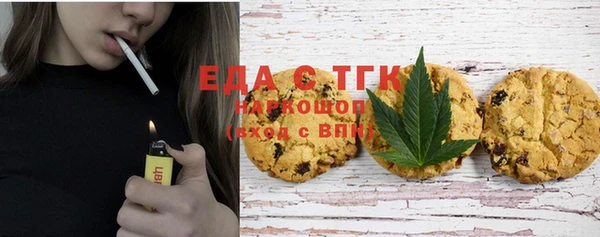 шишки Надым