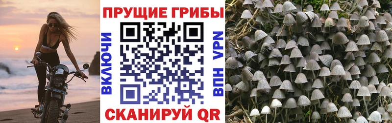 магазин  наркотиков  Чердынь  гидра ссылки  Галлюциногенные грибы мухоморы 